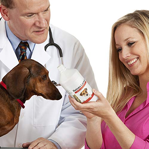 Jean K. vet® Reines Lachsöl Omega 3 für Hunde Einzelfuttermittel für